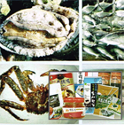 水産・韓国食品輸入